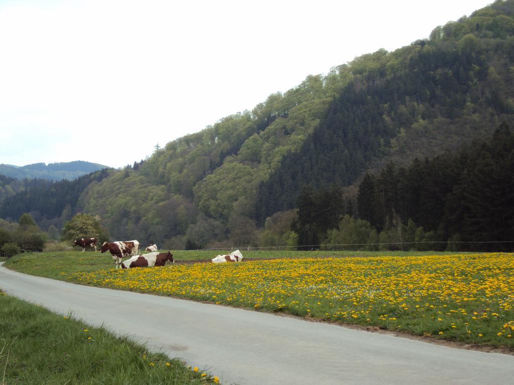 Gasthof Zum Diemeltal Марсберг Екстер'єр фото