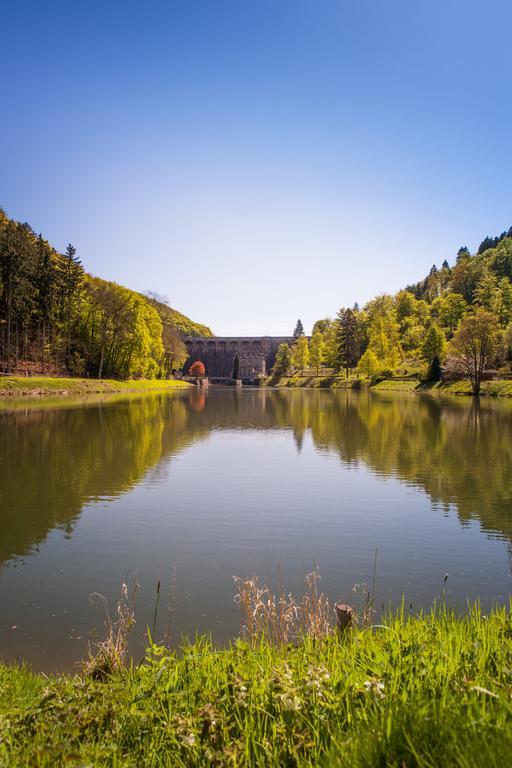 Gasthof Zum Diemeltal Марсберг Екстер'єр фото