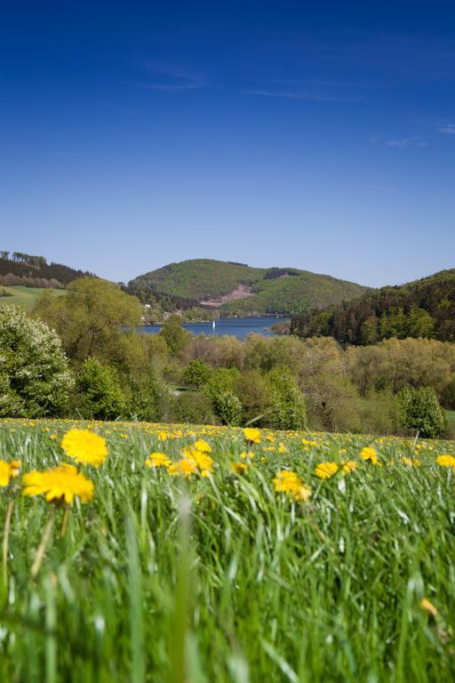 Gasthof Zum Diemeltal Марсберг Екстер'єр фото